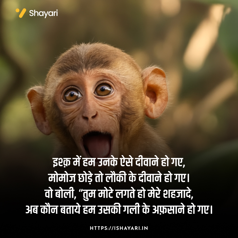 Funny Shayari in Hindi text on image